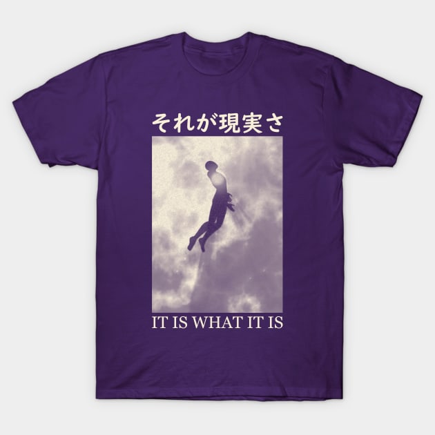 It is what it is Enlightenment T-Shirt by giovanniiiii